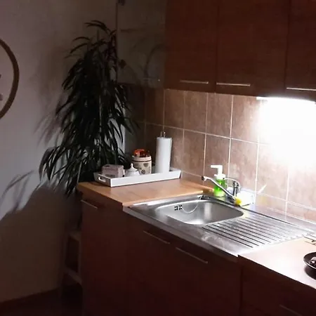 U Vahy Apartament *