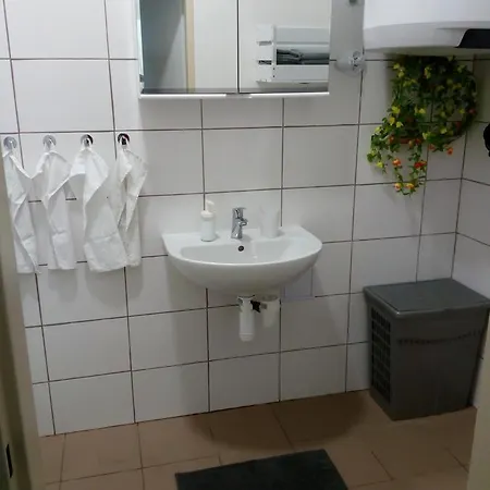 Apartament U Vahy *